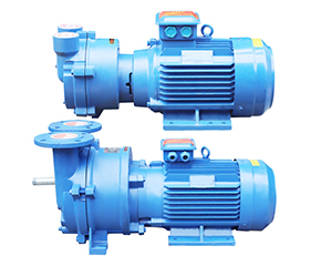 2BV水(shuǐ)環真空泵 直連式(shì)防爆真空泵